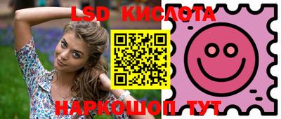 прущие крисы Донской