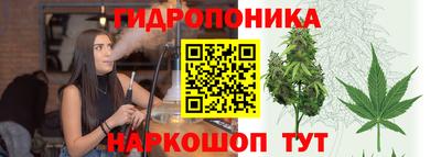 индика Дубна