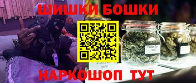 индика Дубна