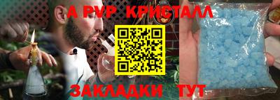 прущие крисы Донской
