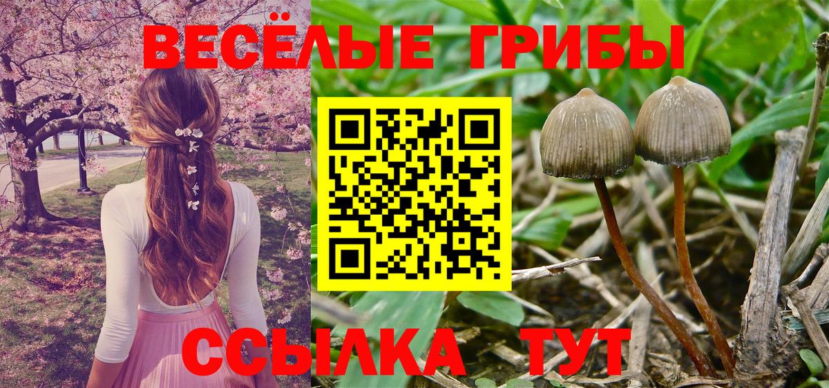 Псилоцибиновые грибы MAGIC MUSHROOMS Великие Луки