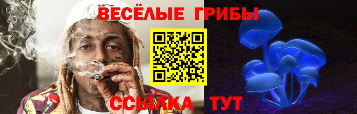 Псилоцибиновые грибы Psilocybe  Вход с VPN  закладки  Великие Луки 